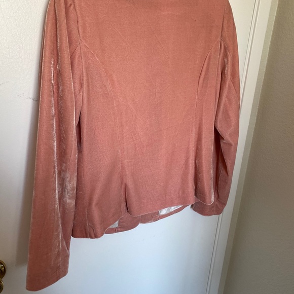 Pale pink Ted Baker Velvet blazer - Picture 4 of 4